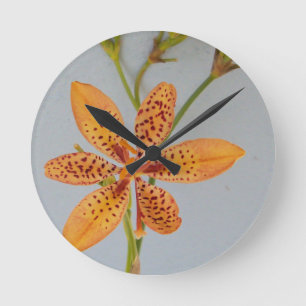 Orange gepunktet Iris genannt eine BlackBerry-Lili Runde Wanduhr