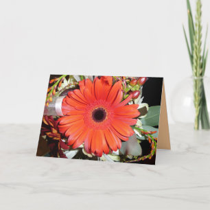 Orange Gerber Daisy Karte