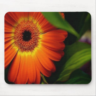 Orange Gerber Gänseblümchen Mousepad