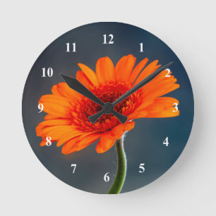 Orange Gerbera Acrylique horloge murale