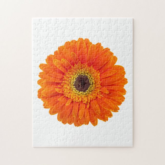 Orange Gerbera Daisy (Vertikal)