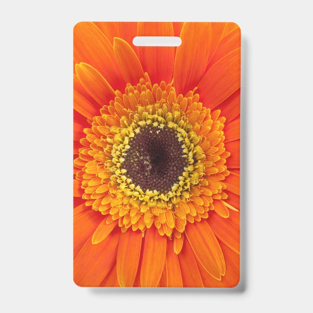 Orange Gerbera Daisy Ausweis (Vorderseite)