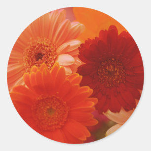 Orange Gerbera Daisy Blume Art Decal Stickers