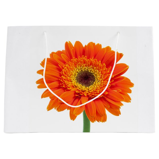 Orange Gerbera Daisy Blume Große Geschenktüte (Vorderseite)
