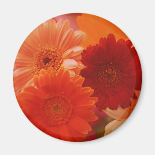 Orange Gerbera Daisy Blume Kühlschrank Magnet