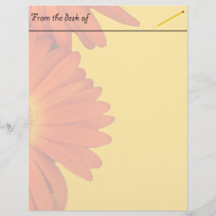 orange Gerbera-Daisy-Blumen