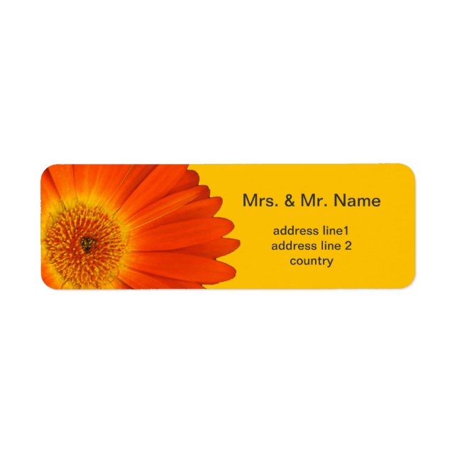 orange Gerbera-Daisy-Blumen (Vorne)