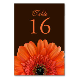 Orange Gerbera Daisy Brown Wedding Tischnummer