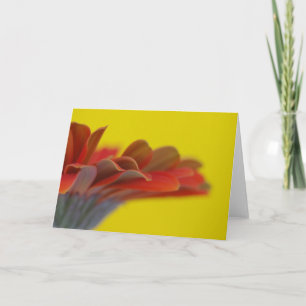 Orange Gerbera Daisy Card Karte
