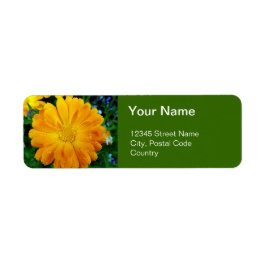 orange gerbera daisy flower address labels