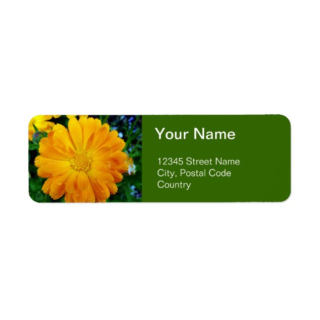 orange gerbera daisy flower address labels (Vorne)