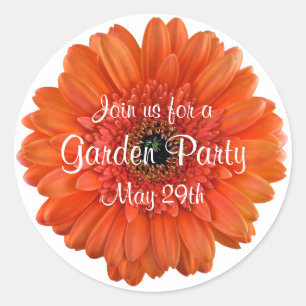 Orange Gerbera Daisy Garden Party Umschlag Aufkleb Runder Aufkleber