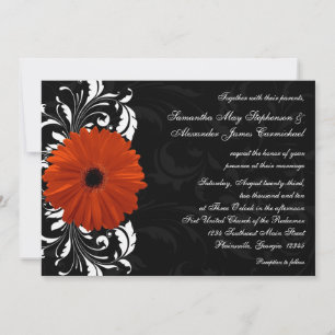 Orange Gerbera Daisy mit Schwarz-Weiß-Rollen Einladung