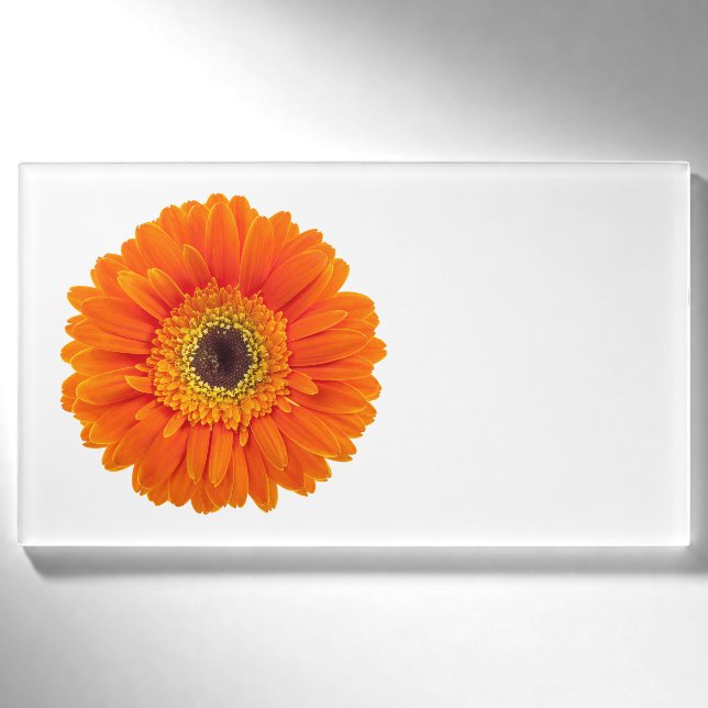 Orange Gerbera Daisy Namenschild (Vorderseite)