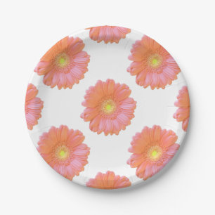 Orange gerbera daisy pappteller