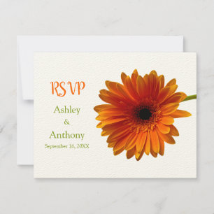 Orange Gerbera Daisy Response Card RSVP Karte