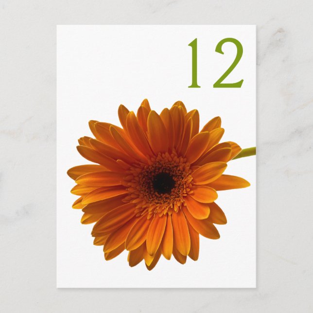Orange Gerbera Daisy Tischnummer Card (Vorderseite)