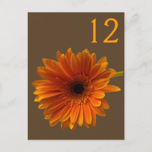 Orange Gerbera Daisy Tischnummer Card