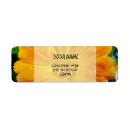 orange gerbera fleur marguerite étiquette de adres