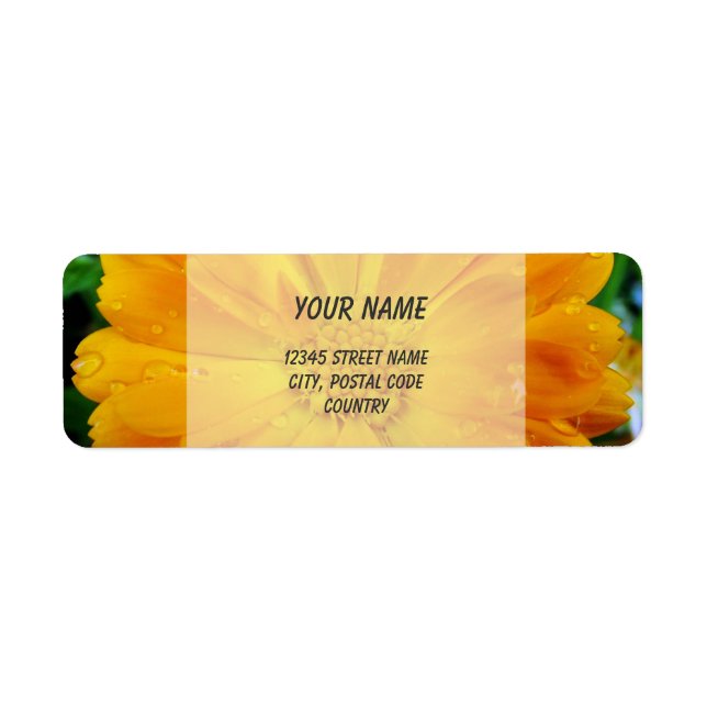 orange gerbera fleur marguerite étiquette de adres (Devant)