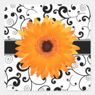 Orange Gerbera-Gänseblümchen mit schwarzem Quadratischer Aufkleber