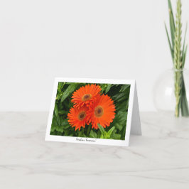 Orange Gerbera-Gänseblümchen-sammelbare Karte