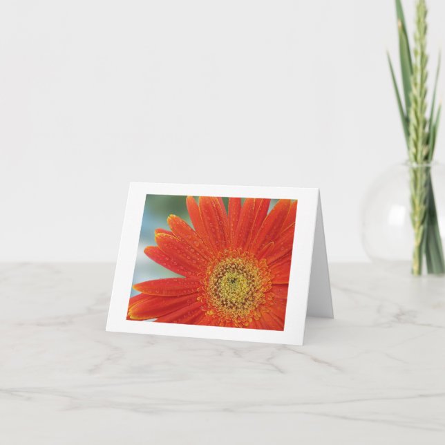 Orange Gerbera Karte (Vorderseite)