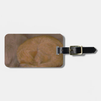 Orange gestreifte Katzenkarten, T-Stück, Uhr, Gepäckanhänger
