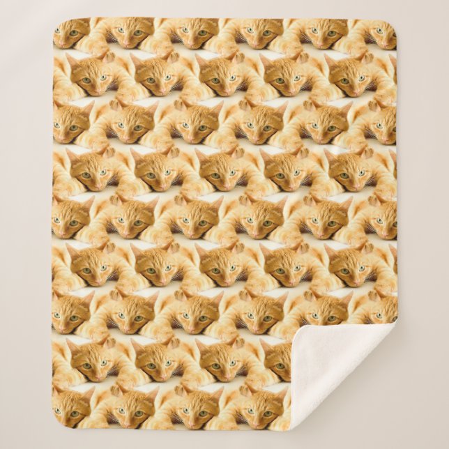Orange Ginger Cat Pattern Sherpadecke (Vorderseite)