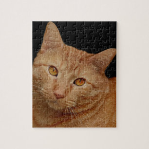 ORANGE GINGER TABBY CHAT JIGSAW PUZZLE