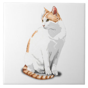 Orange Ginger und White Cat Custom Fliese