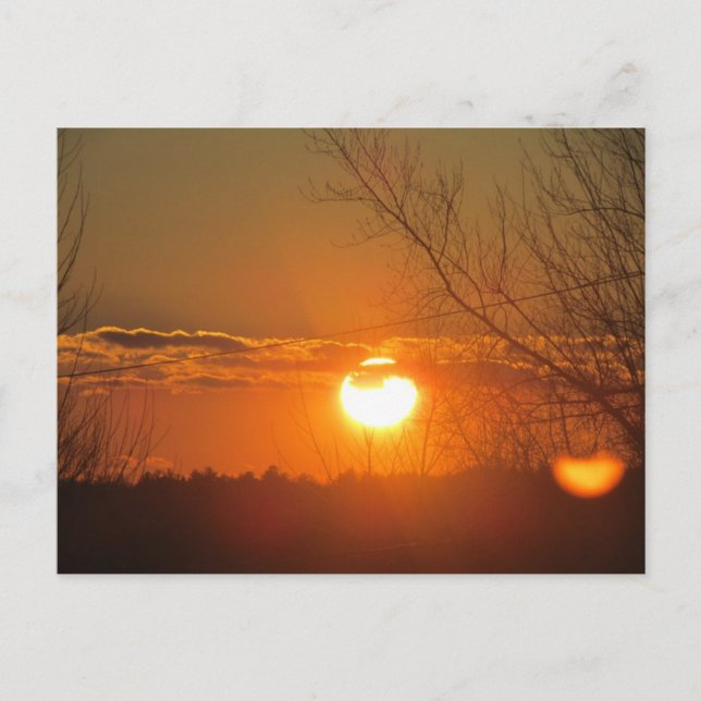 Orange Glow Postkarte (Vorderseite)