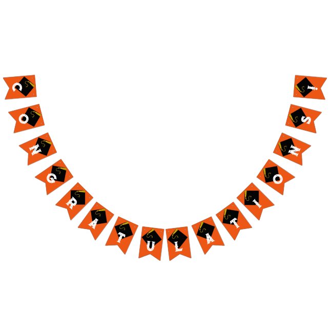 Orange Graduation Party Decoration Wimpelkette (Alle)