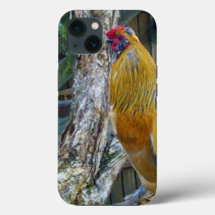 Orange Gray Fluffy Rooster, Case-Mate iPhone Hülle