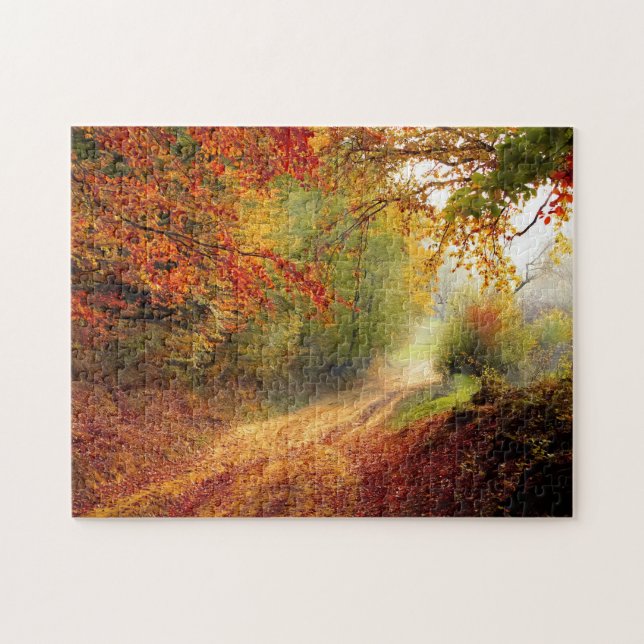 Orange Green Herbstlaubs Country Dirt Road Foto (Horizontal)