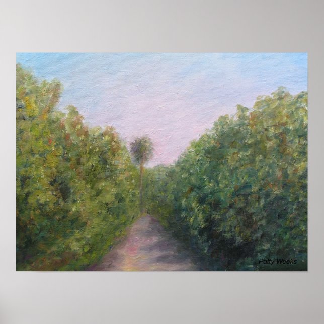 ORANGE GROUP IN CITRA, FLORIDA POSTER (Vorne)