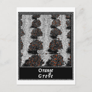 Orange Grove Postkarte