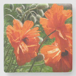 Orange Harvest Moon Oriental Poppies Steinuntersetzer