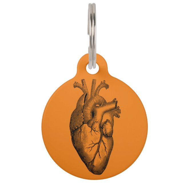 Orange Heart Anatomy Science Haustiermarke (Vorderseite)