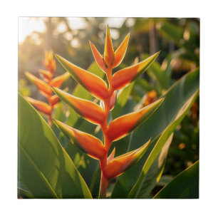 Orange Heliconia Tropische Blume Golden Hour  Fliese