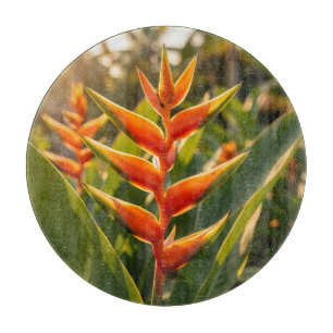 Orange Heliconia Tropische Blume Golden Hour  Schneidebrett