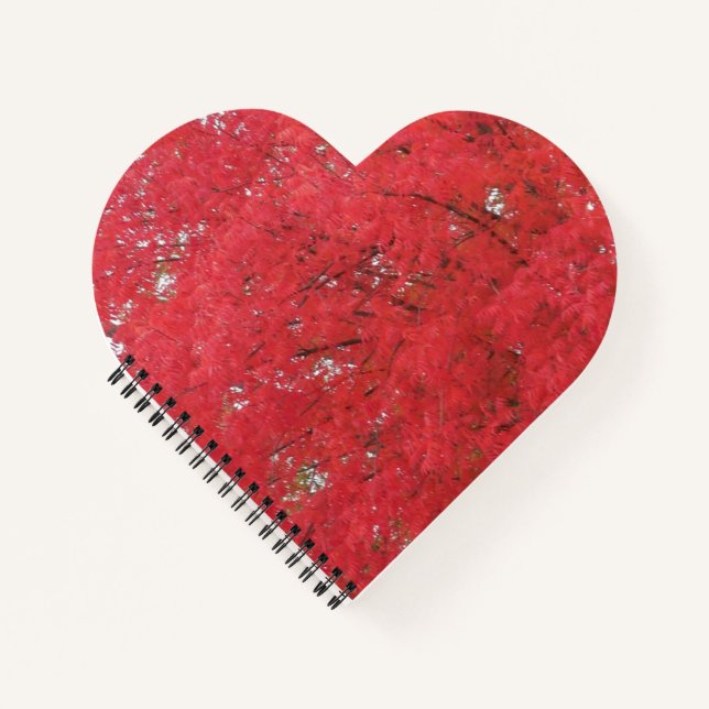 Orange-Herbstlaub-Notebook Notizbuch (Vorderseite)