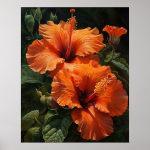 Orange Hibiscus Fleurs Art Imprimer Poster