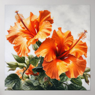 Orange Hibiscus Flower Art Imprimer Poster