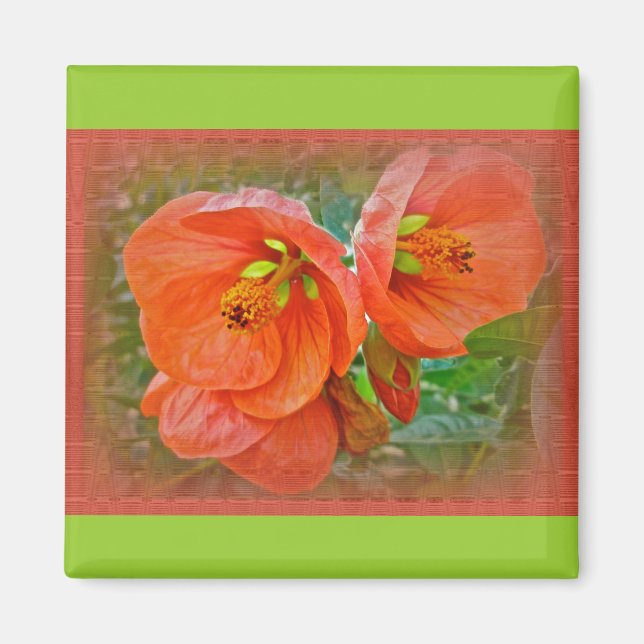 Orange Hibiscus Flowers Magnet (Vorne)