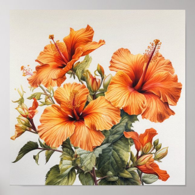Orange Hibisken Blume Art Print Poster (Vorne)