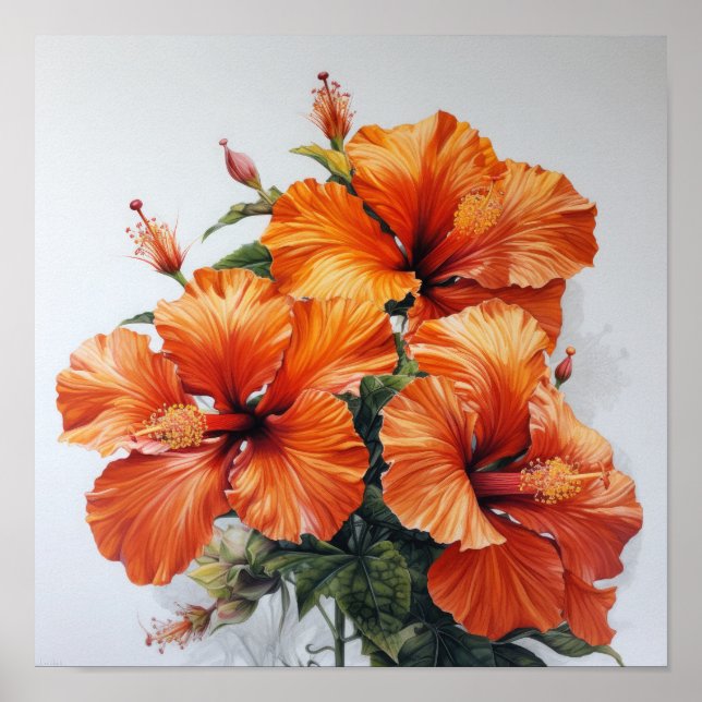 Orange Hibisken Blume Art Print Poster (Vorne)