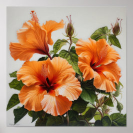 Orange Hibisken Blume Art Print Poster
