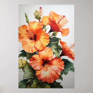 Orange Hibisken Blume Art Print Poster