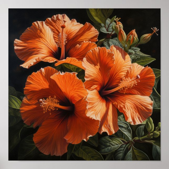 Orange Hibisken Blume Art Print Poster (Vorne)
